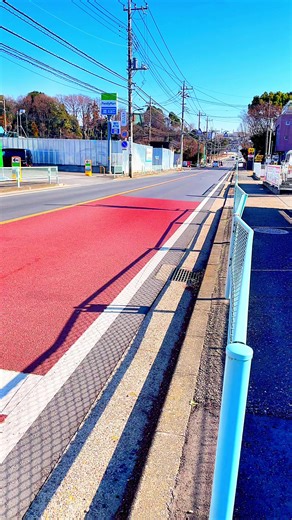 Capturing the Beauty of Japan's Views