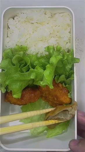 “What’s in your bento today? Share your lunch ideas! #bentobox #bentolunch #food