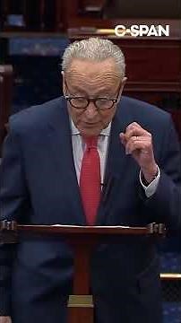 Schumer: "Congress cannot afford to turn a blind eye to AI"