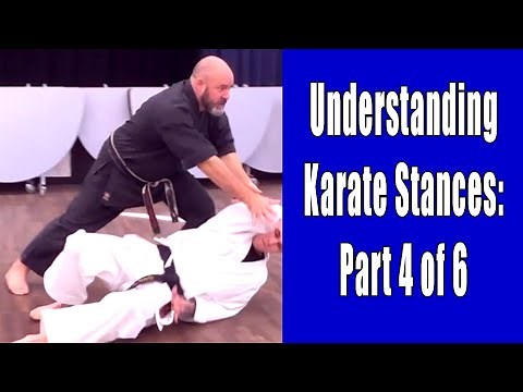 Understanding Karate Stances: Part 4 of 6