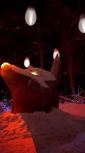 Canada’s Most Magical Night Walk ✨ ONIRO at Parc Omega, Quebec | #fyp #travel #canada #mona
