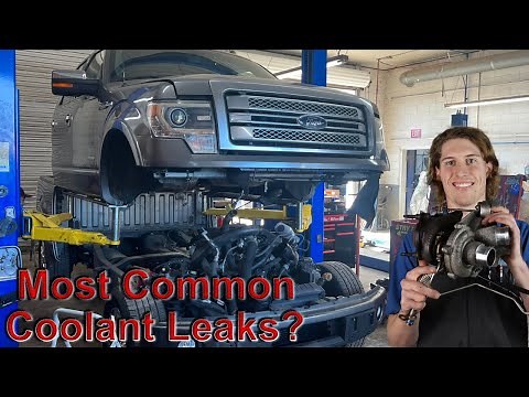 Ford F-150 Most Common Coolant Leaks | 3.5 EcoBoost V6