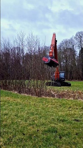 The Powerful Excavator Mulcher BMS from SEPPI M.