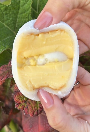 老舗の和菓子屋さんが作る元祖プリン大福🍮 元祖ぷりん大福 250円（店舗価格） プリンを丸ごと大福で包むという驚きの和スイーツでぷるぷるの食感で絶品でした😋 濃厚プリンと大福は抜群の組み合わせで和菓子好きにおすすめです！ オンラインショップでも購入できるので、ぜひ覗いてみてください！ 🍚店名: 本わらび餅の江戸屋本店 住所：兵庫県姫路市下手野4丁目11-1 最寄駅: 姫路駅からバスで20分 営業時間:9:00〜18:00 定休日：水曜日 #兵庫グルメ#Japanesefood#tiktokfood