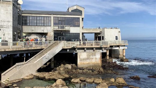 Monterey Bay Aquarium announces free local tickets. How to get yours.
