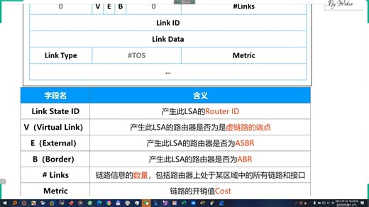 024-Router-LSA（1类LSA）详解
