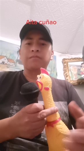 Squeaky Yellow Rubber Chicken Fun and Entertainment