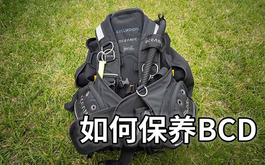 潜水教学（十二）:如何保养你的潜水背心BCD. How to service your BCD