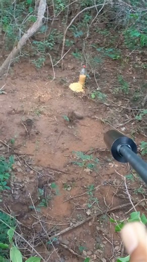 caçada da semana santa,ROSSI SPORT UP ADAPTADA X PREÁ