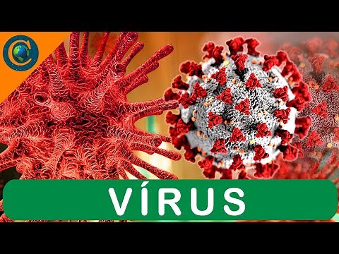 VÍRUS - VÍRUS SÃO SERES VIVOS? (PRINCIPAIS CARACTERÍSTICAS)