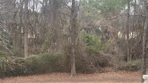 Snow Flurries in the Campground Rd & Jodeco area of Stockbridge and Henry County unincorporated! | Because We Care Henry County-Atlanta South