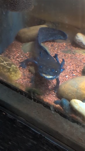 Hung out with some regular party animals at the Lehigh Valley Zoo. #lehighvalleyzoo #lvzoo #lehighvalley #zoo | Lehigh Valley with Love