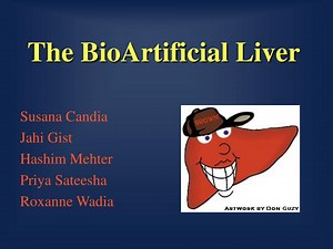 The BioArtificial Liver - SlideServe