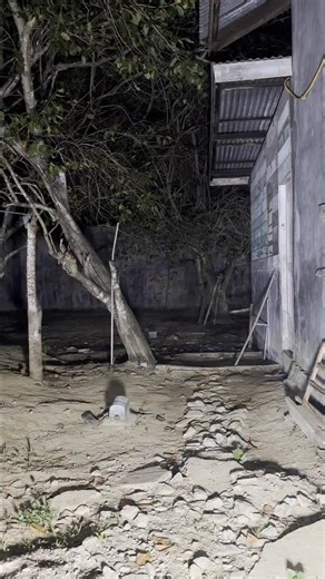 Ghost Capture on camera...... #funny #tutorials #Horrorstories