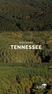 Discover available land in Tennessee, including Benton, Henderson, Decatur, Perry, and Wayne counties. Act quickly as properties are sold on a first-come, first-served basis. Find your ideal piece of land today! If the properties in this post are sold when you visit the website (as our tracts sell quickly), please check our website for other available options. We regularly update our listings to provide you with more choices. #landforsale #ruralrealestate #outdoorliving #tennessee | Classic Coun