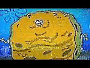sponge bob really fat