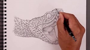 Snake Drawing Tutorial: How to Draw a Realistic Snake