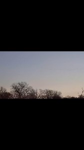 Spotted: The first cranes of the spring migration here at Rowe! Typically our first sighting of cranes above Rowe is the last few days of January and we anticipate Sandhill Cranes to trickle in the rest of February leading up to the big show in March and early April. We still have space available for tours so make your reservation and come enjoy the cranes with us! Video: Cody Wagner | Rowe Sanctuary