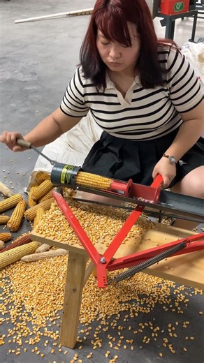 1.7M views · 5.7K reactions | The manual corn thresher is easy and quick to operate, making it a valuable assistant for farmer.#thresher #machinery #farmer | Dawn Agro Rice Mill | Facebook