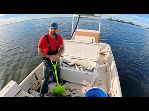 Trash Fish or Hidden Delicacy? Mullet Cast Net, Clean & Cook