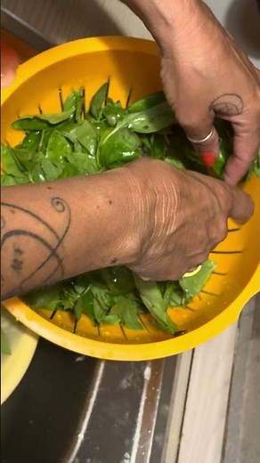 Preparazione per il pesto a base di basilico…