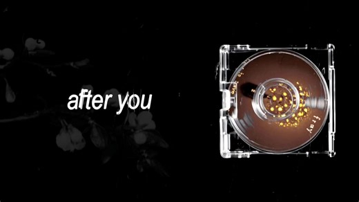 Exploring The Fray's 'Look After You' Lyrics