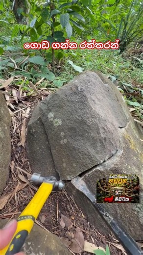 ඇත්ත නිදන් ගල් පෙට්ටිය💯