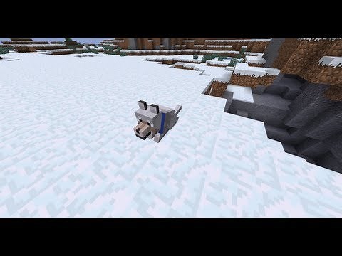 Minecraft: Como domesticar un Lobo.