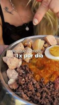Cães que comem menos vivem por mais tempo #pets #receitaparacachorro #cachorro