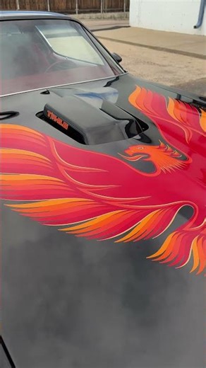 1979 Pontiac Trans Am