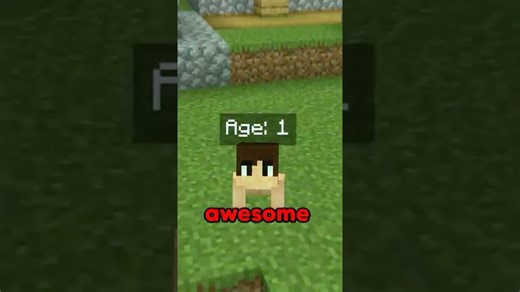 Minecraft But You Control My Age… | Firelight-01