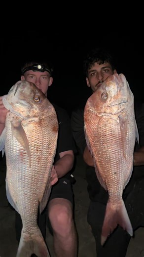 Snapper Fishing Adventures in Perth