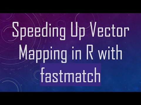 Speeding Up Vector Mapping in R with fastmatch
