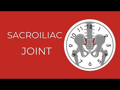 SI Joint Stretches & Exercises
