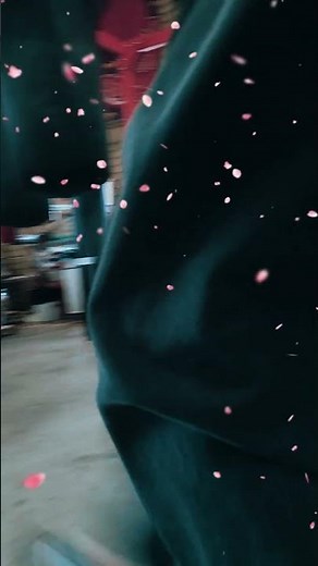 Witness The Power And Grace Of Northern Shaolin Kung Fu | Advanced Skills Training | Kung Fu School