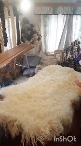 Back felting of huge sheep fleece. After laying carded wool on the sheared side of the fleece I'm spraying it with hot soapy water which will help with felting #countryside #hobby #diy #creative #happy #art #craft #wool #farmlife #lanolin #natural #nature #sheep #livestock #countryliving #countrylife #countryside #homemade #handmade | Welsh cottage by Zina