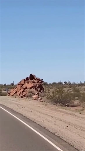 Wile E. Coyote and the Road Runner Caught In Real Life #looneytunes #coyote #viralvids