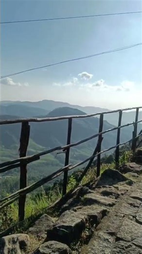 #new #kerala #travel #nature #teagarden #india #nicesong #2026short #shorts #reels #yoitubeshorts #💗