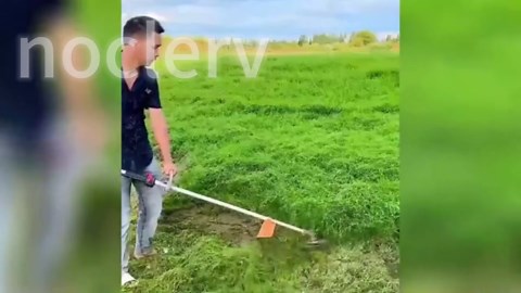 6 Inches Steel Wire Grass Trimmer Head, 2025 New Universal Steel Wire Trimmer Head for Weed Eater, Upgraded Unbreakable String Trimmer Replacement Head for Most Cordless String Trimmer (6 Blade*1)