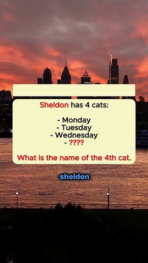 Solve This Riddle: Sheldon's 4 Cats