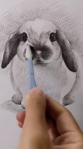 14K views · 485 reactions | Learn to sketch a Realistic Rabbit - Detailed Tutorial | DEEPFLAME | Facebook