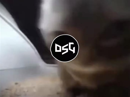 CHIPI CHIPI CHAPA CHAPA (XPLOSN DUBSTEP REMIX)