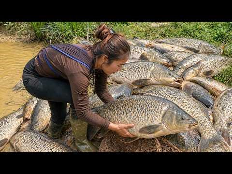 Catching GIANT Fish by Hand with Single Mom and Children to Sell at Market