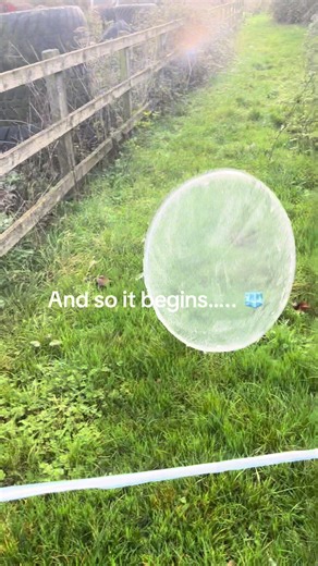 Winter Horse Care Tips for Equestrians