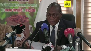 Ivory Coast cocoa growers to face 60% price cut on their produce