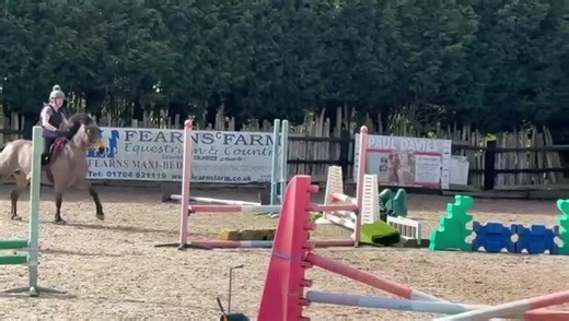 A fab lesson on a welsh dragon. apparently if we wind up the dragon he jumps like a stag 😂😂 #jumping #fun #equestriansoftiktok #fyphorse #love