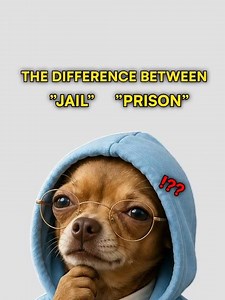 Jail vs. Prison Explained Simply | Learn the Difference