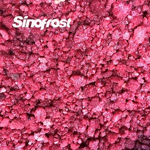 [Hot Item] IQF Frozen Raspberries Brokens Heritage/Tulameen/Fertodi