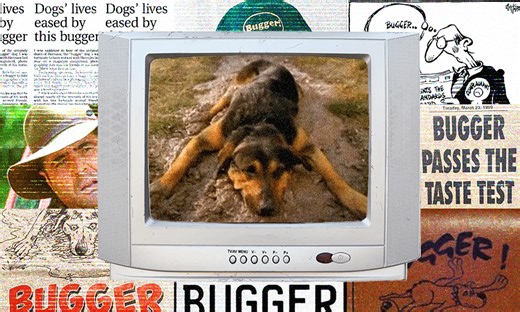 ‘It was just the right word’: When ‘bugger’ took New Zealand by storm