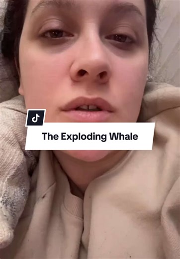 1970 Whale Explosion: A Bizarre Piece of History